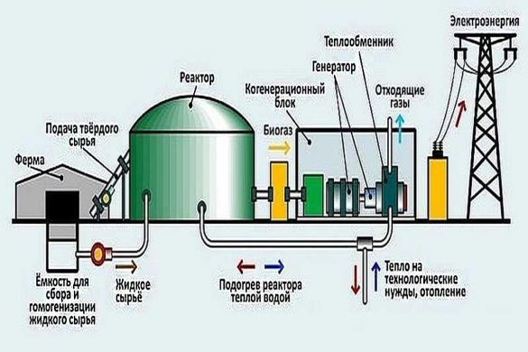 схема работы биогазовой установки